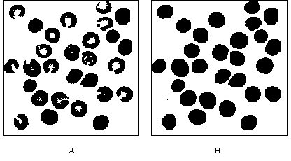 Advanced Morphology Operations - NI